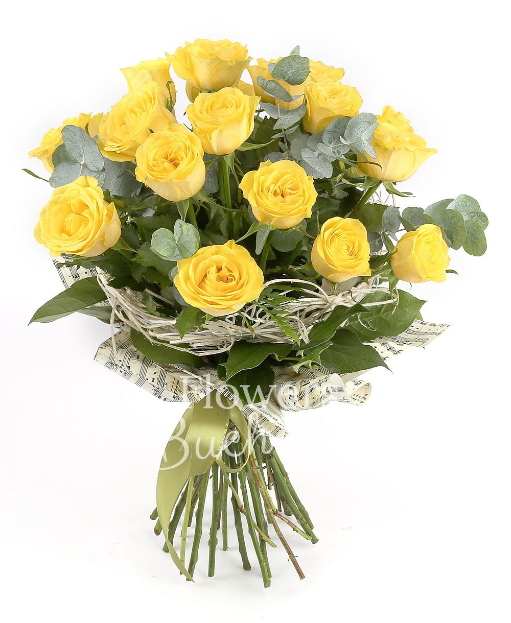 17 yellow roses, greenery