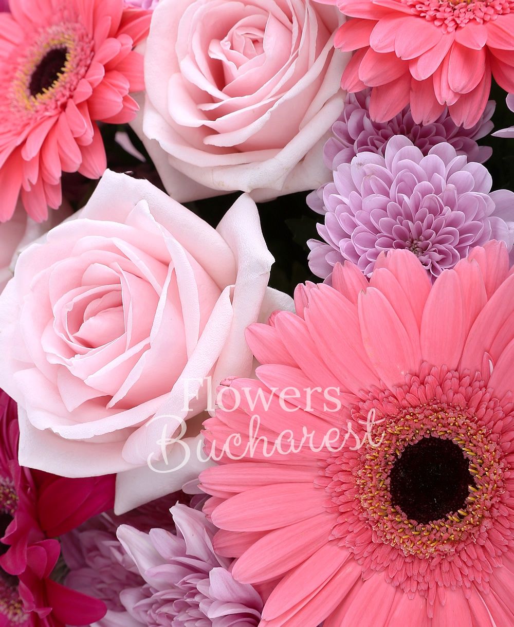 9 pink roses, 5 pink gerbera, 5 cyclam gerbera, 5 pink chrysanthemums, greenery