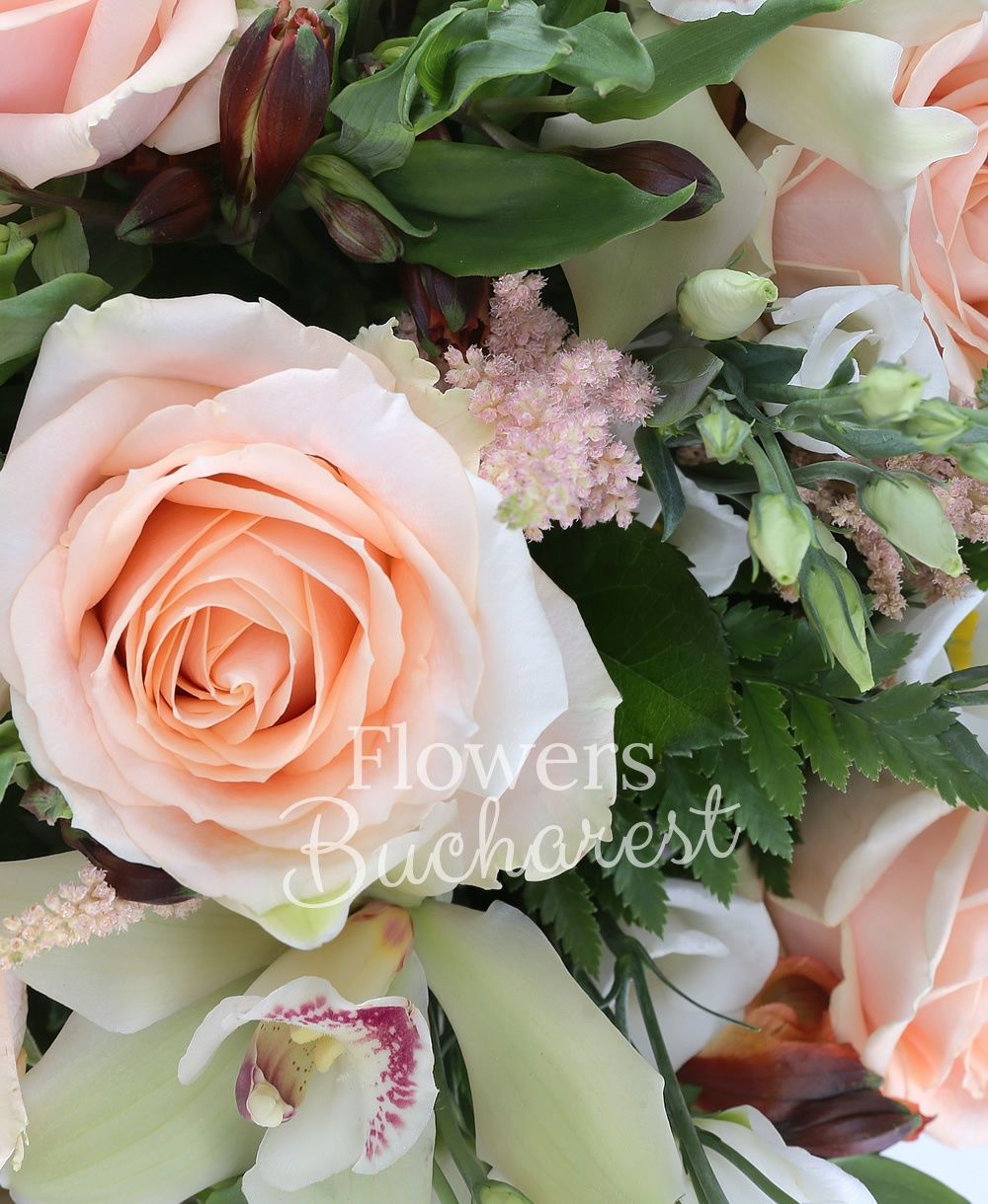 9 cream roses, 5 white lisianthus, 5 orange alstroemeria, 5 pink astranția, green cymbidium, greenery