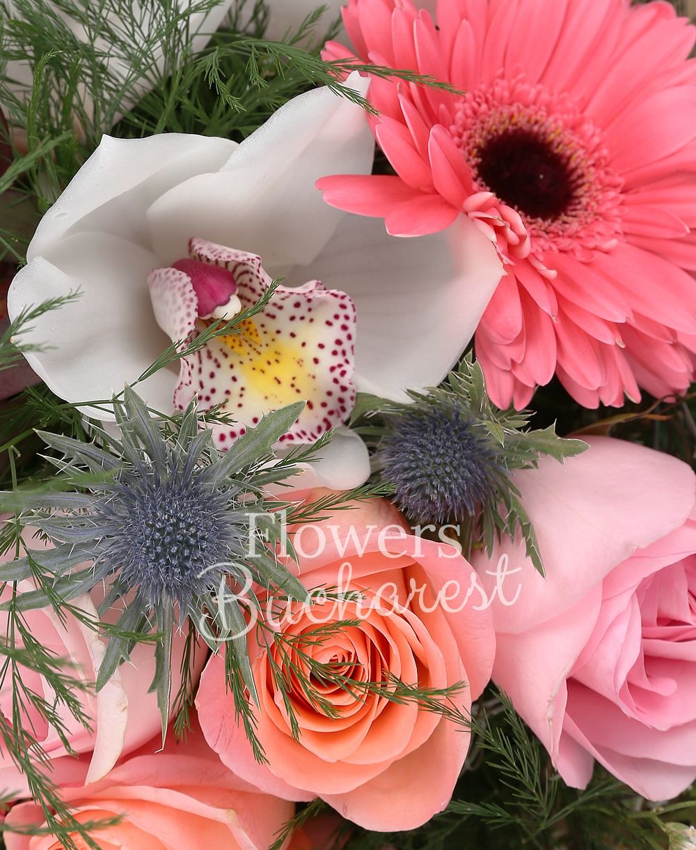 5 pink roses, 5 banana colour roses, 3 pink roses, 3 pink gerbera, 3 proteea, 3 leucadendron, 3 eryngium, white cymbidium, greenery