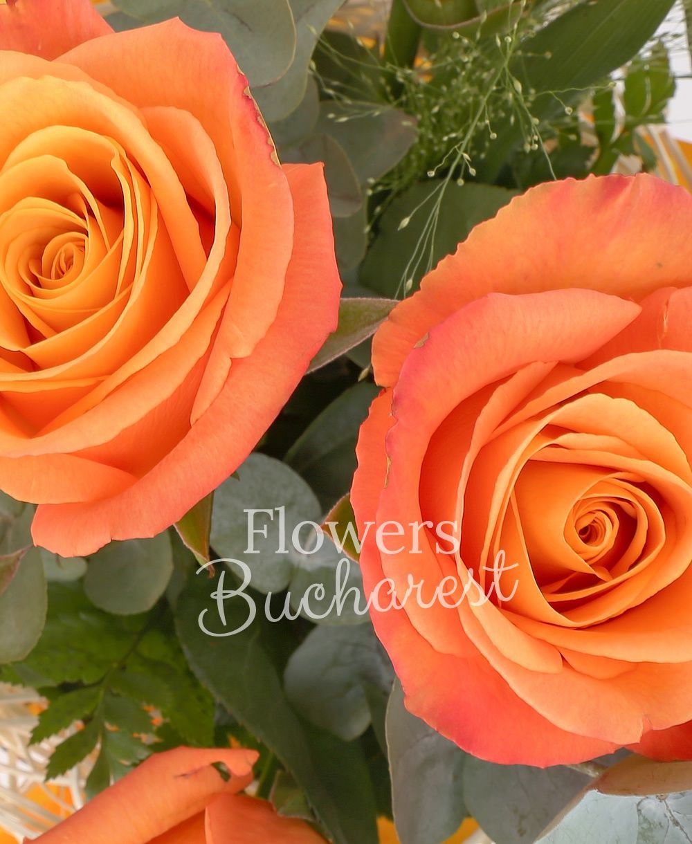 9 orange roses, greenery