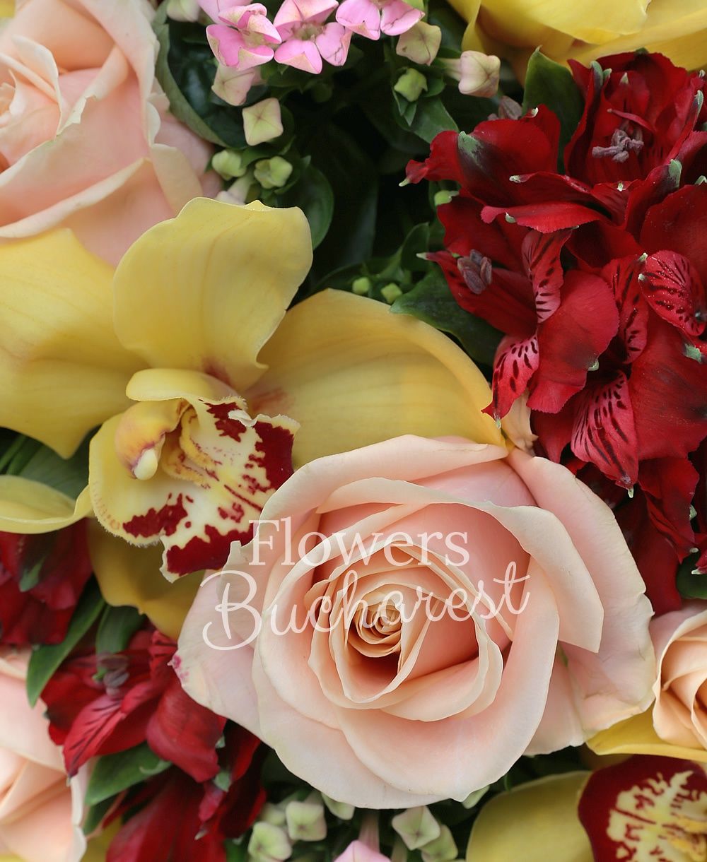 7 cream roses, 6 red alstroemeria, 5 orange alstroemeria, 5 pink bouvardia, green cymbidium, greenery