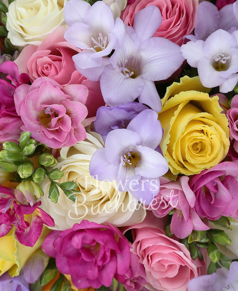 7 white roses, 7 yellow roses, 7 pink roses, 7 orange roses, 15 mauve freesias, 15 cyclam freesias, greenery