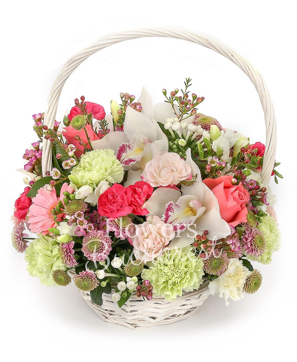 3 orange roses, 7 green carnations, 5 cyclam carnations, 3 pink gerberas, white cymbidium, 3 cream miniroses, 3 white bouvardia, 10 white freesias, 5 pink santini, greenery