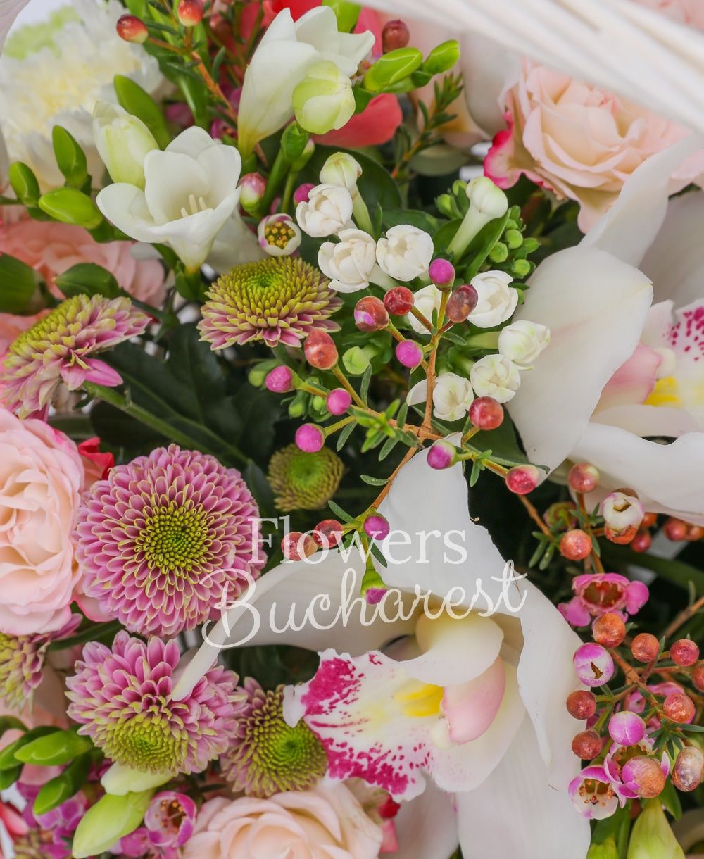 3 orange roses, 7 green carnations, 5 cyclam carnations, 3 pink gerberas, white cymbidium, 3 cream miniroses, 3 white bouvardia, 10 white freesias, 5 pink santini, greenery
