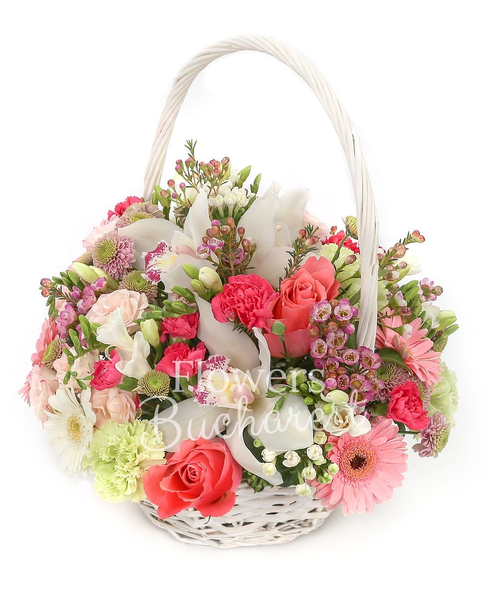 3 orange roses, 7 green carnations, 5 cyclam carnations, 3 pink gerberas, white cymbidium, 3 cream miniroses, 3 white bouvardia, 10 white freesias, 5 pink santini, greenery