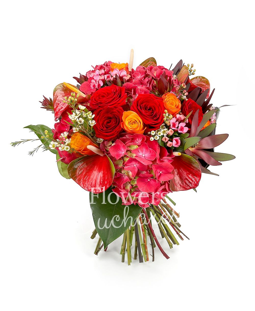 7 red roses, 5 orange roses, 3 red anthurium, 3 red hortensia, 3 pink bouvardia, 7 leucadendron, greenery