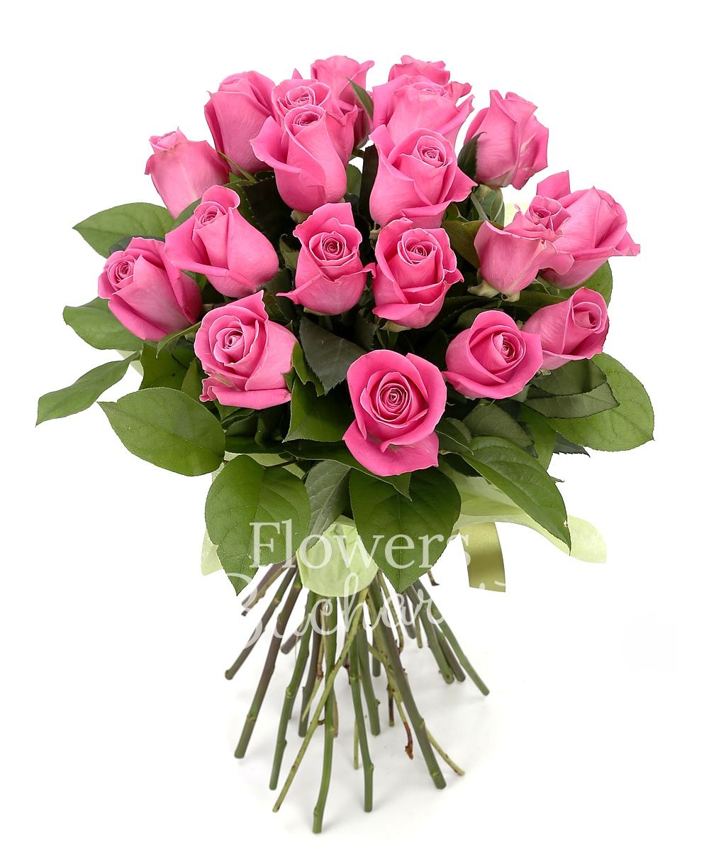 19 pink roses, greenery