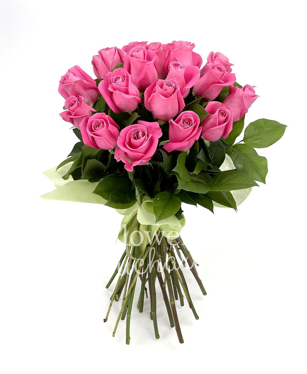 19 pink roses, greenery