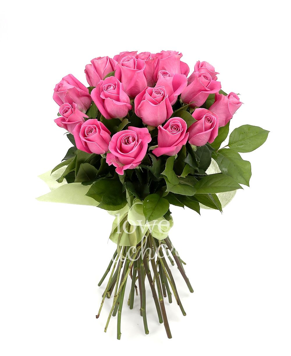 19 pink roses, greenery