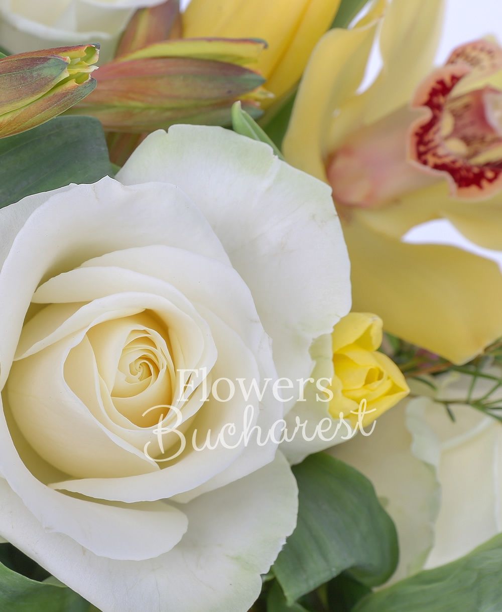 3 white roses, 5 yellow alstroemerias, 5 purple freesias, 5 yellow tulips, greenery