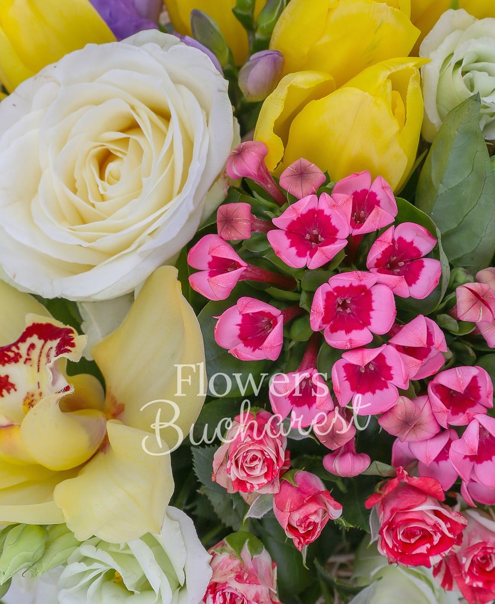 3 white roses, 3 bouvardia, 5 white lisianthus, 3 alstroemeria, 5 purple freesias, 3 pink miniroses, 5 yellow tulips, greenery