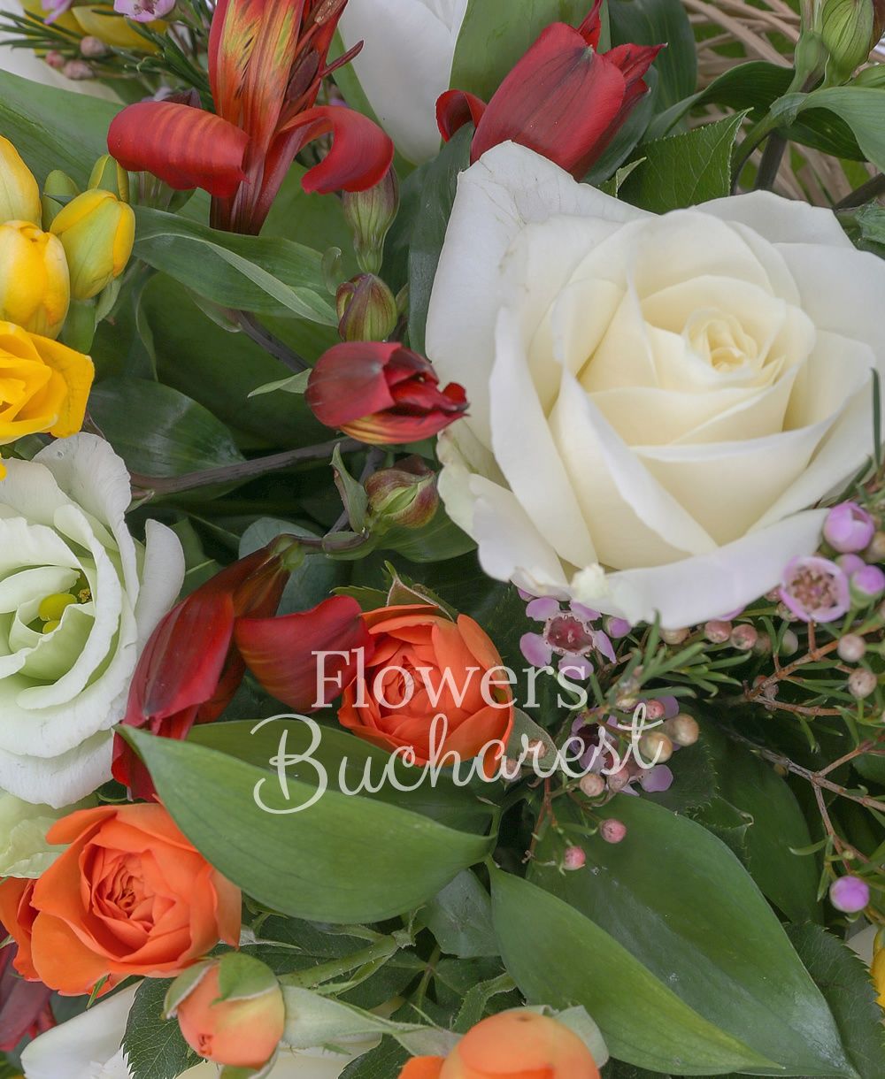 3 white roses, 5 yellow freesias, 3 orange miniroses, 5 red alstroemerias, 5 white lisianthus, pink waxflower, greenery
