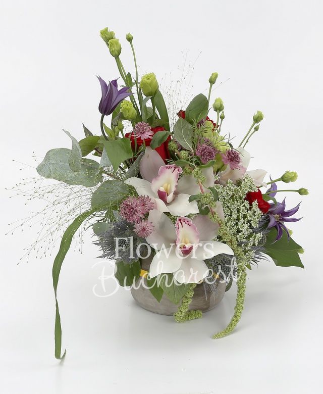 2 trandafiri rosii, 2 lisianthus verde, cymbidium alb, 2 clematis, 1 eryngium, astranția roz, ami, amaranthus verde, panicum, eucalypt, salal, vas ceramic