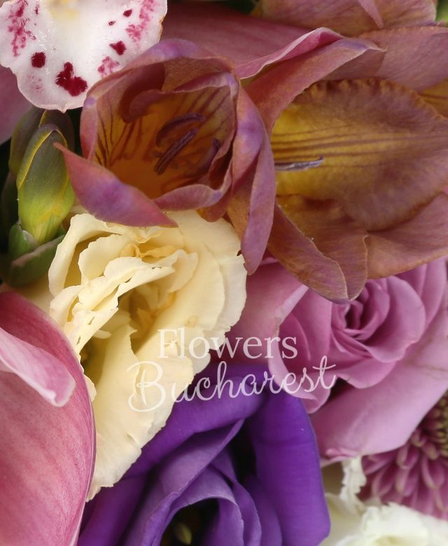 2 trandafiri roz, 2 trandafiri mov, 2 lisianthus roz, 2 santini mov, 4 frezii grena, 1 lisianthus alb, 1 lisianthus mov, cutie