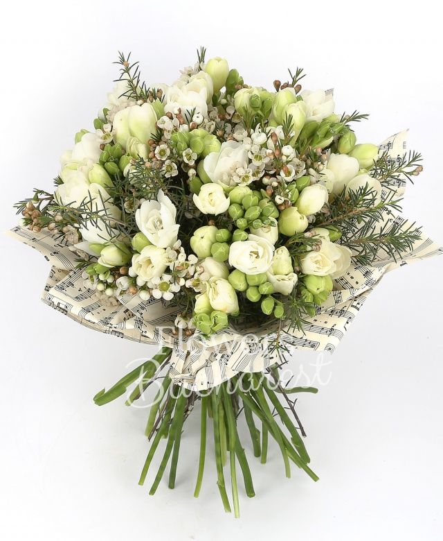 35 frezii albe, waxflower