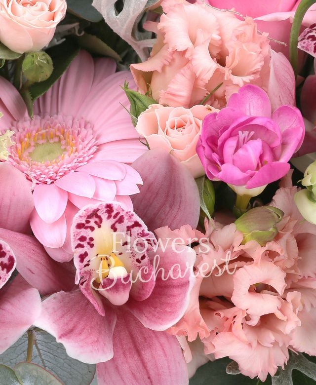2 trandafiri roz, 2 trandafiri cyclam, 2 gerbera roz, 2 miniroze roz, 2 lisianthus roz, 4 frezii cyclam, 2 ranunculus roz, cymbidium roz, eucalypt, senecio, carte