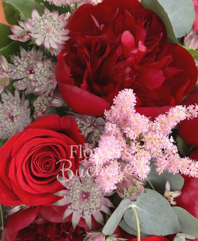 4 bujori grena, 6 trandafiri rosii, 4 astilbe roz, 8 astranția roșie, salal, eucalypt