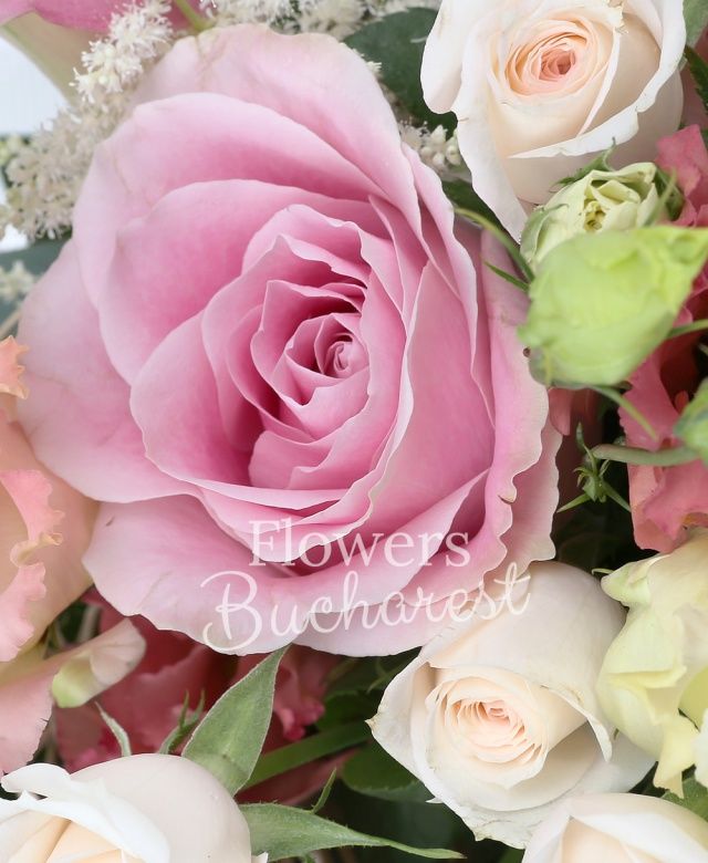 2 trandafiri roz, 4 cale roz, 2 lisianthus roz, 2 miniroze crem, 4 astilbe albe, eucalypt, salal, cuib