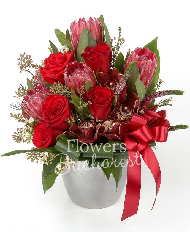 4 trandafiri rosii, 4 proteea, cymbidium grena, 2 veronica roz, waxflower alb, eucalypt, aspidistra, salal, fundă, vas ceramic