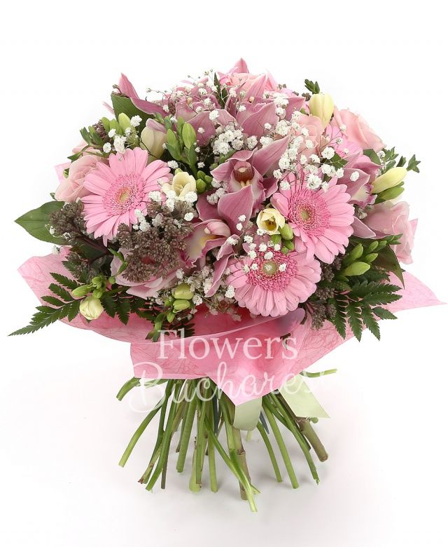 4 trandafiri roz, 11 frezii albe, 6 gerbera roz, cymbidium roz, waxflower roz, gypsophila