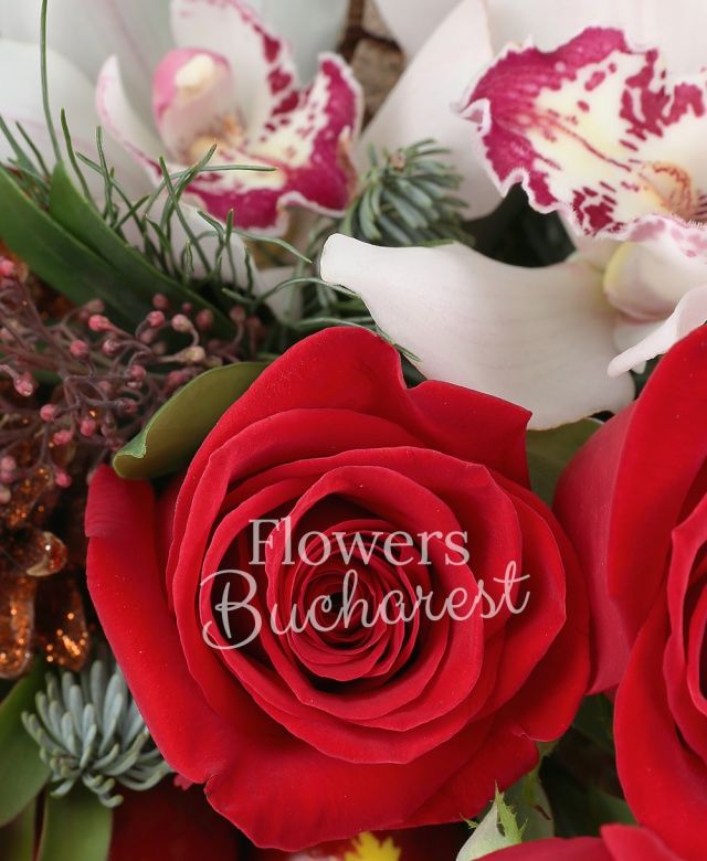 2 trandafiri rosii, 2 leucadendron, cymbidium alb, schimia, pin, brad, globulețe, felii portocala uscate, coș