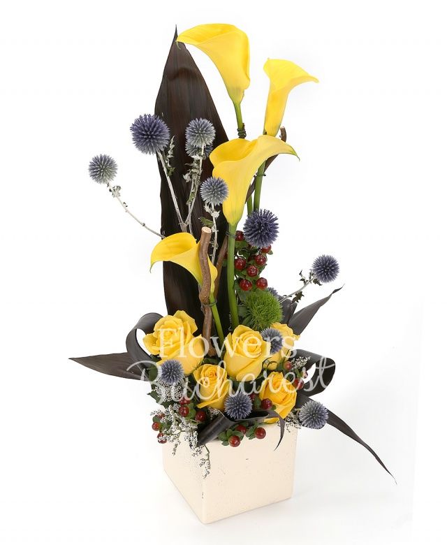 4 trandafiri galbeni, 3 cale galbene, 2 hypericum, 2 dianthus gri, echinox, black tide, burete, vas ceramic
