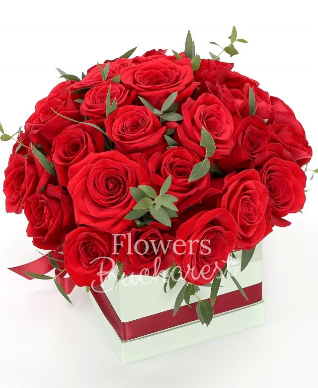 31 trandafiri rosii, eucalypt, cutie pătrată