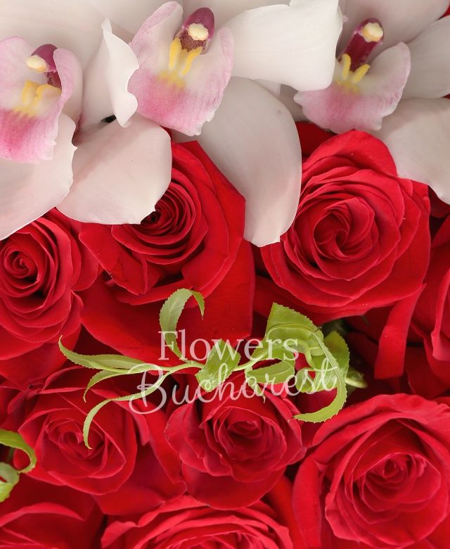 45 trandafiri rosii, cymbidium alb, cutie