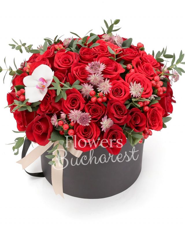 31 trandafiri rosii, astranția, 4 hypericum, phalaenopsis, eucalypt, cutie rotundă