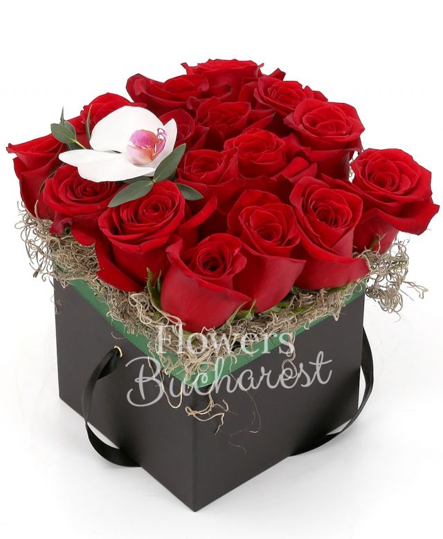 16 trandafiri rosii, phalaenopsis, tillandsia, cutie pătrată