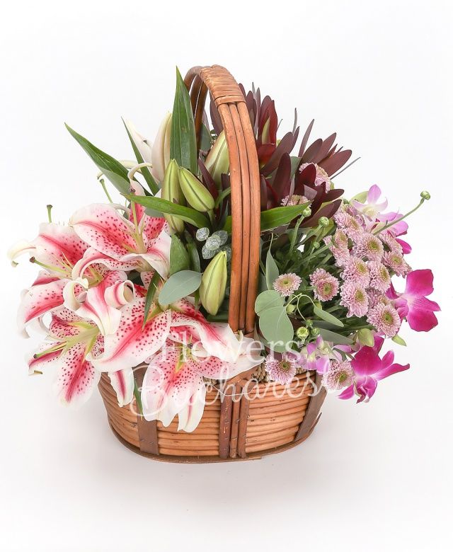 2 crini roz, 4 santini roz, 4 leucadendron, 2 orhidee cymbidium verzi, 3 dendrobium mov, eucalypt, burete, coș