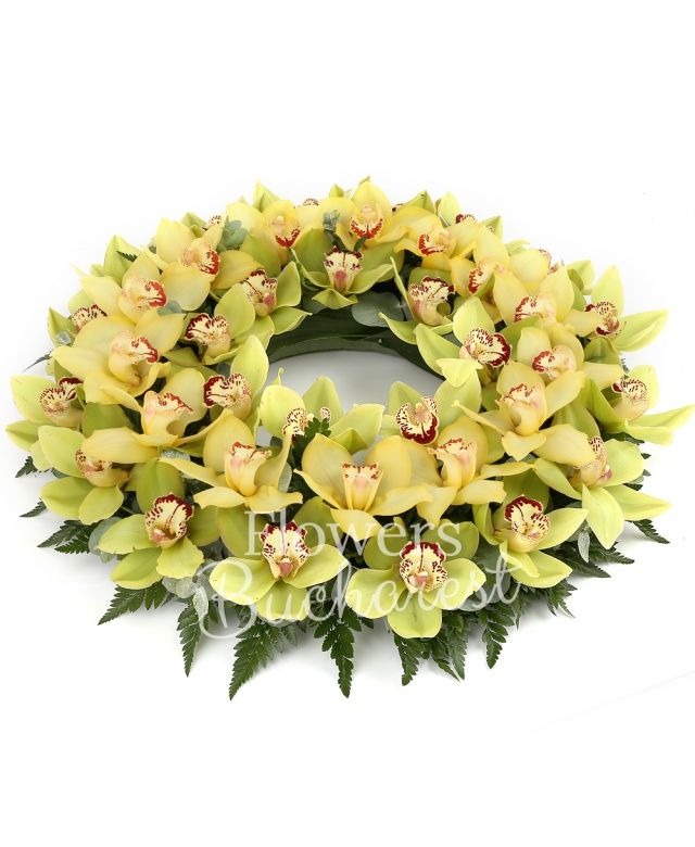 cymbidium galben, cymbidium verde, ferigă, suport burete