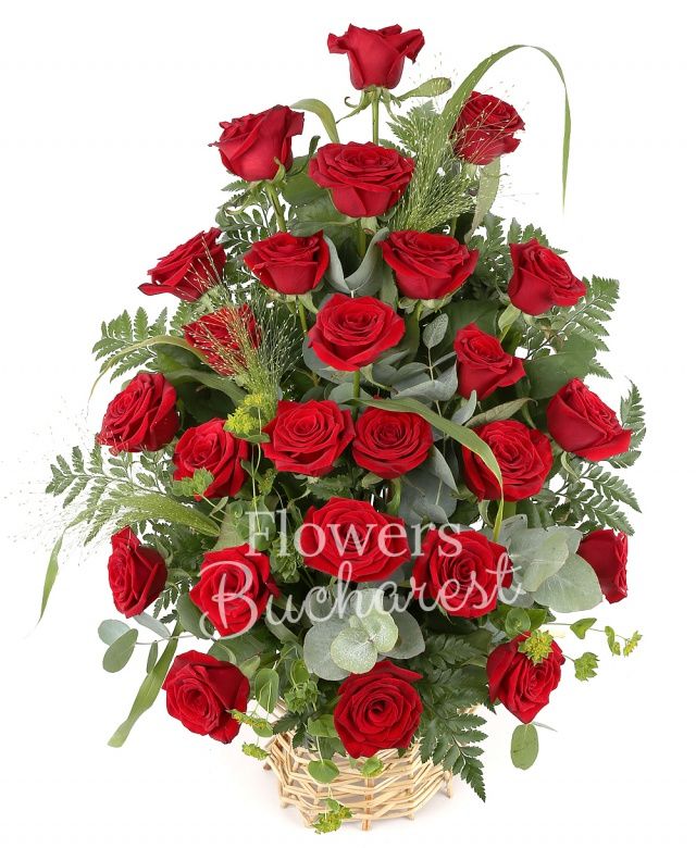 18 trandafiri rosii, bupleurum, panicum, eucalypt, coș florentin