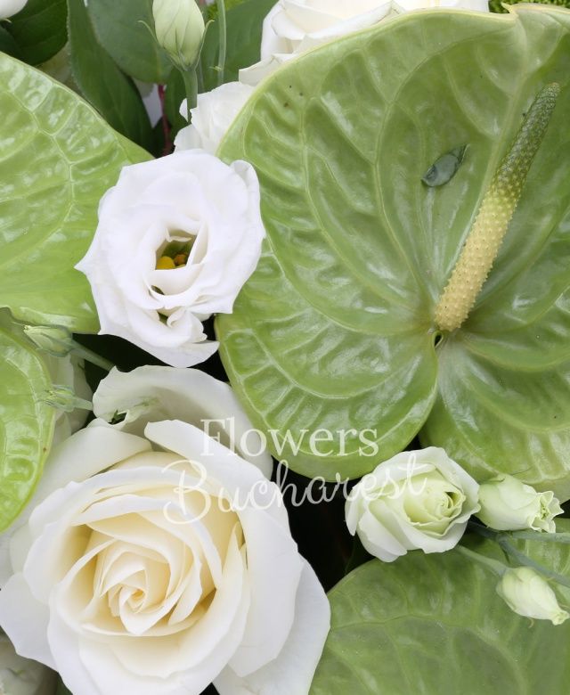 13 crizanteme albe, 7 santini verde, 4 trandafiri albi, 5 trandafiri albi, 4 anthurium verde, 4 lisianthus alb, aspidistra, salal, beargrass, suport colac