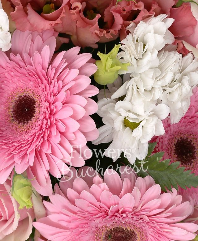 6 gerbera roz, 4 crizanteme albe, 4 trandafiri roz, 4 lisianthus roz, salal, ferigă