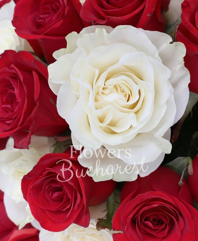 10 trandafiri albi, 25 trandafiri rosii
