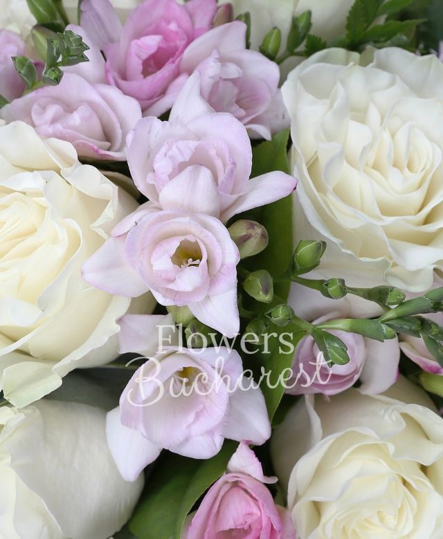 6 trandafiri albi, 15 frezii roz, ferigă, eucalypt, salal