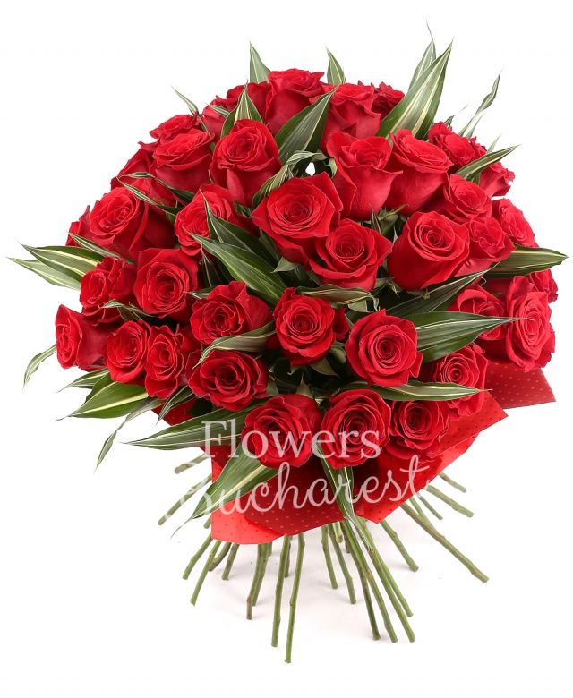 43 trandafiri rosii, dracaena