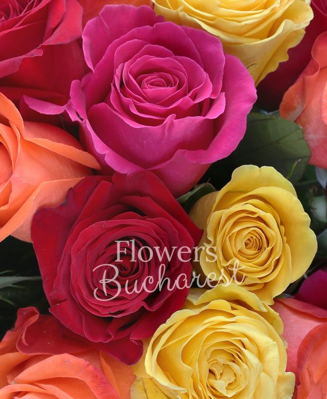 33 trandafiri multicolori, beargrass, monstera, bupleurum