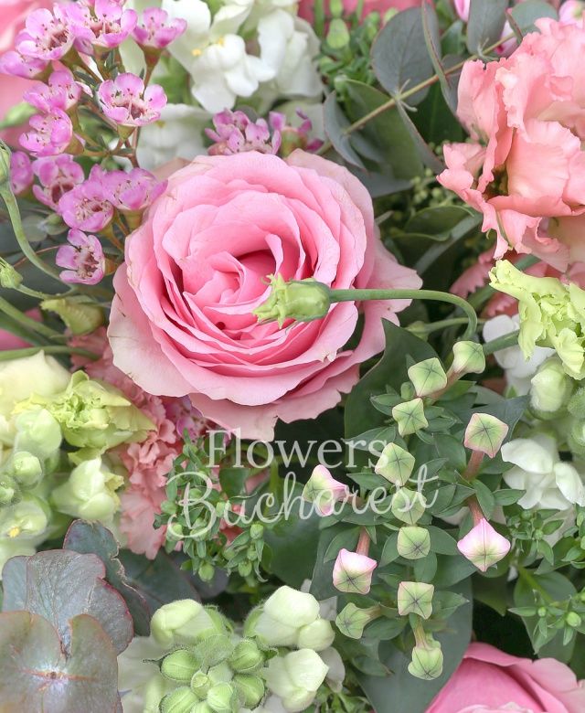 8 trandafiri roz, 4 antirrhinum, 5 bouvardia roz, 4 lisianthus roz, waxflower, eucalypt, salal