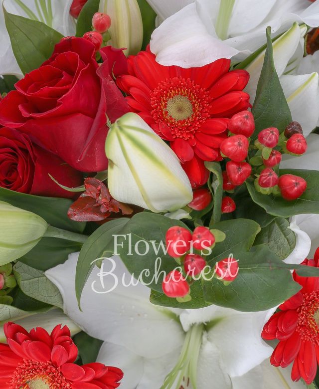 3 crini albi, 7 trandafiri rosii, 5 gerbera rosii, 4 hypericum roșu, eucalypt, ferigă