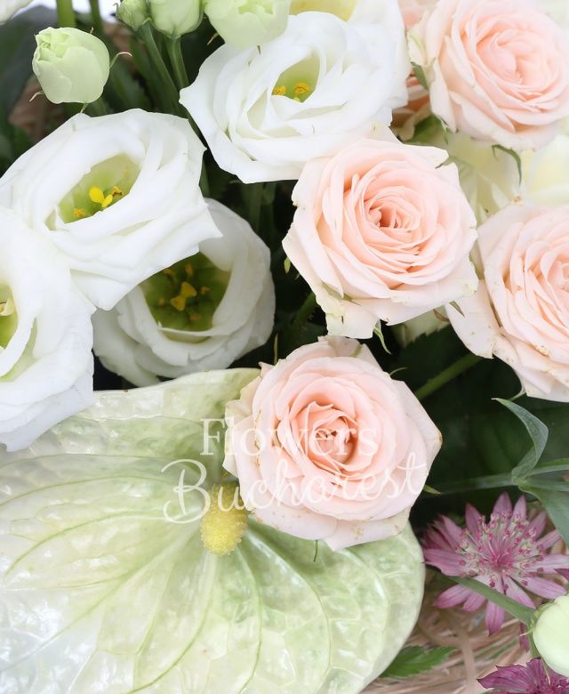 2 anthurium alb, 2 miniroze crem, 2 lisianthus alb, 2 trandafiri albi, 2 astranția roz, cuib, salal