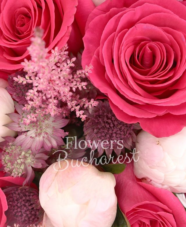 7 trandafiri roz, 7 bujori albi, 10 astranția, 7 astilbe roz