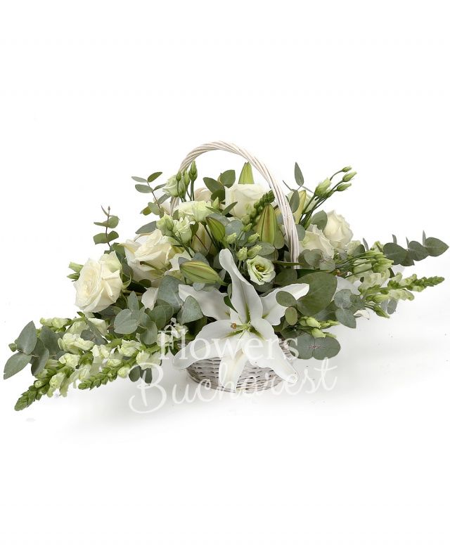 3 crini albi, 4 trandafiri albi, 6 lisianthus alb, 6 antirrhinum alb, eucalypt, coș