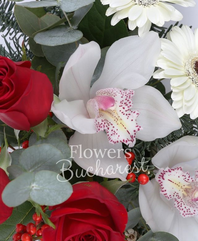 2 trandafiri rosii, cymbidium alb, 2 gerbera alba, ilex, waxflower, brad, eucalypt, vas ceramic