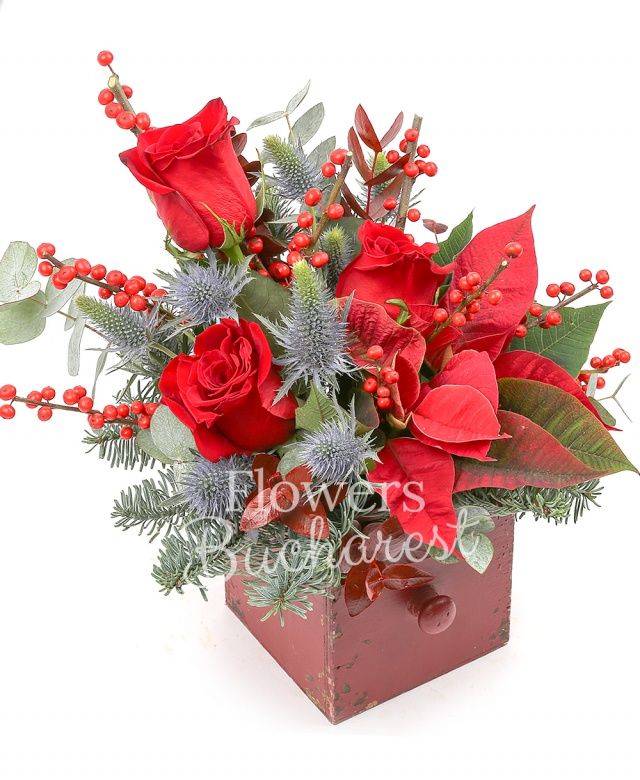 2 trandafiri rosii, 1 poinsettia roșie, 2 eryngium, 2 gerbera albe, ilex, brad, eucalypt, cutie