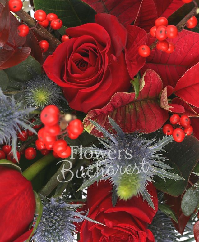 2 trandafiri rosii, 1 poinsettia roșie, 2 eryngium, 2 gerbera albe, ilex, brad, eucalypt, cutie