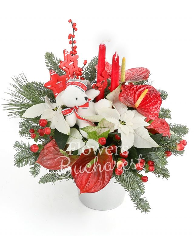 4 mini anthurium, 2 euphorbia albe, ursuleț, 2 hypericum roșu, 2 lumânări, brad, decorațiuni crăciun, vas ceramic