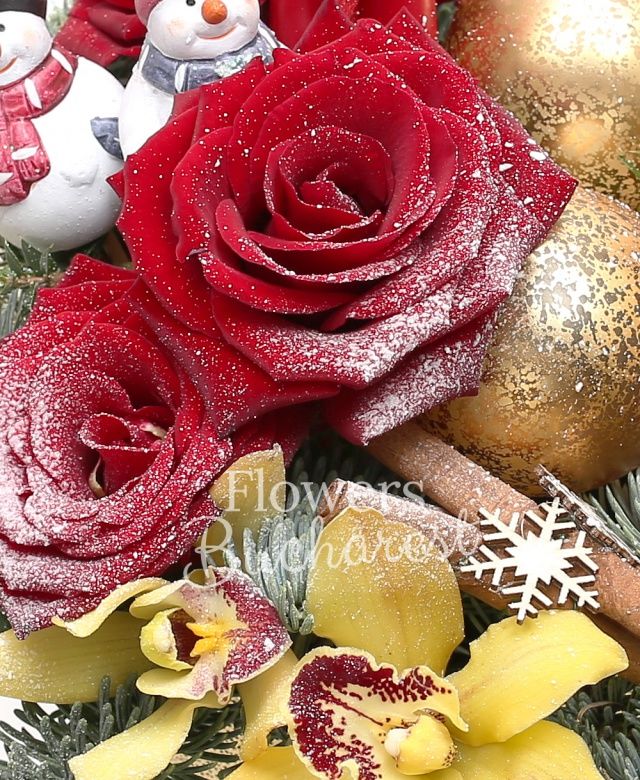 2 trandafiri rosii, cymbidium galben, anthurium, ilex, brad argintiu, decorațiuni crăciun, vas